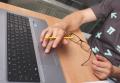 Na zdjęciu widoczne są dłonie położone na klawiaturze laptopa.